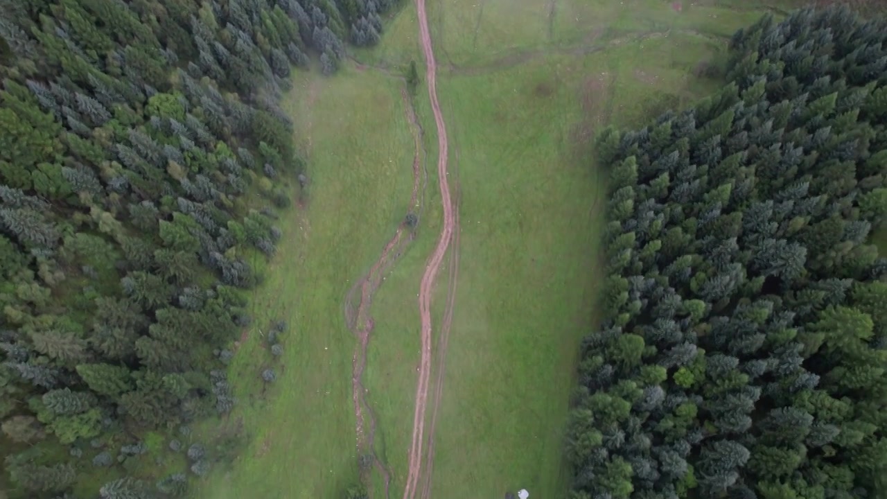高山森林草场视频素材画面4