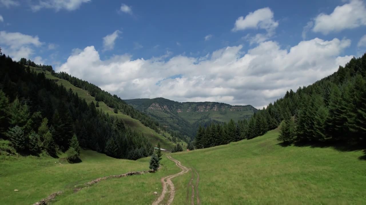 高山森林草场视频素材画面1
