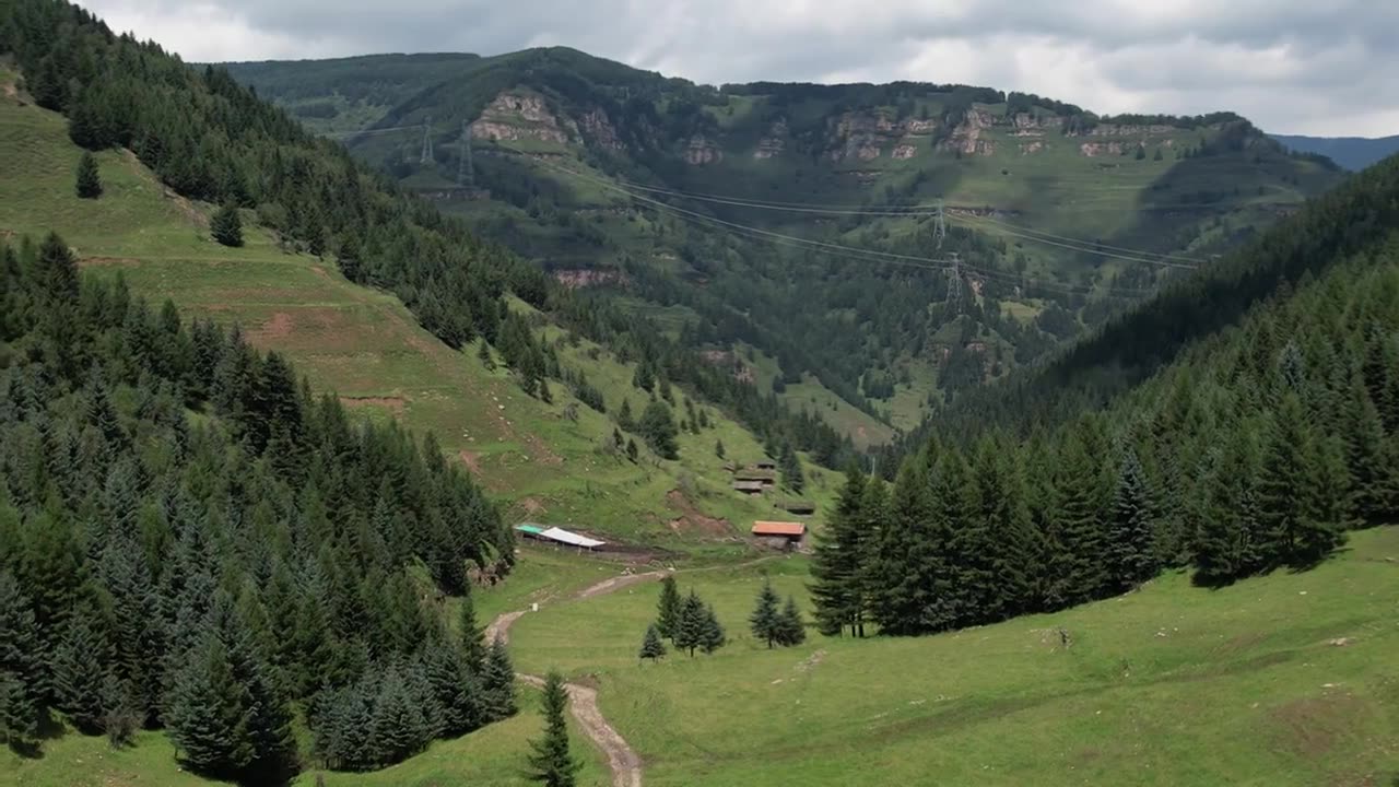 高山森林草场视频素材画面1