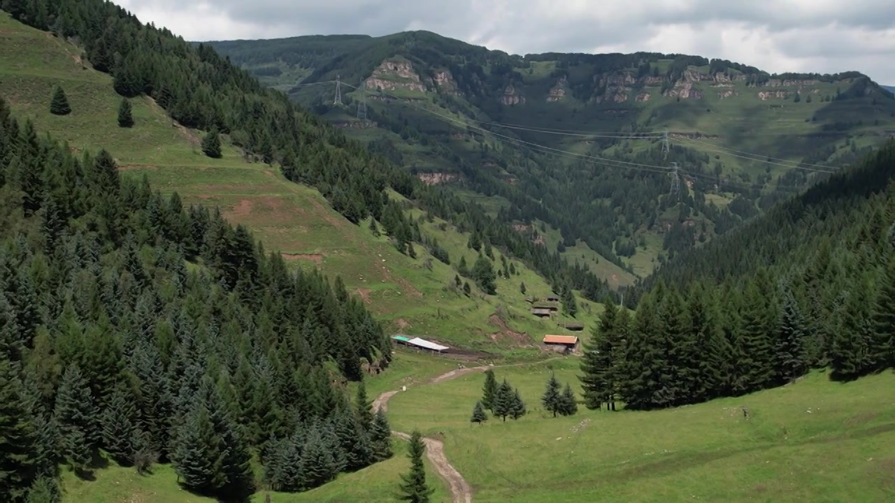 高山森林草场视频素材画面3