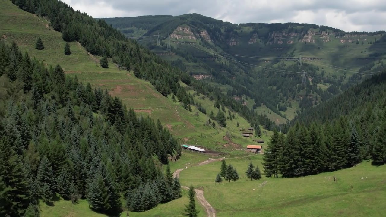 高山森林草场视频素材画面4