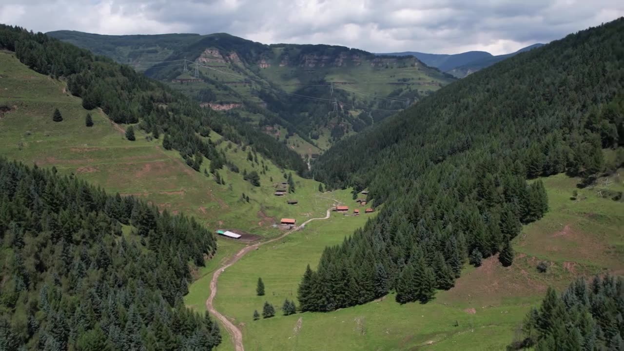 高山森林草场视频素材画面1