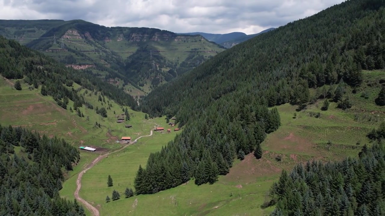 高山森林草场视频素材画面4