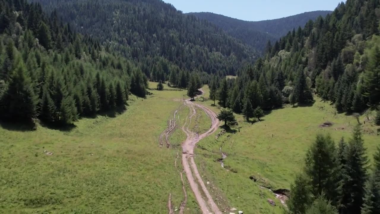 高山森林草场视频素材画面1