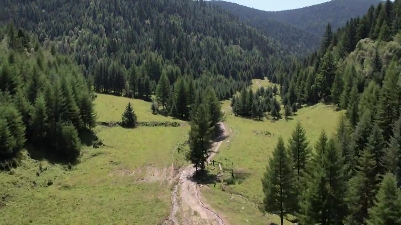 高山森林草场视频素材画面3