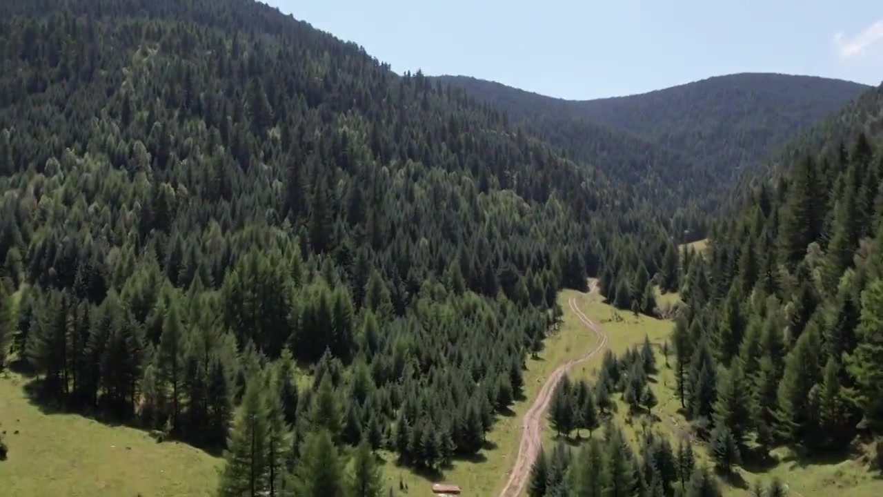 高山森林草场视频素材画面4