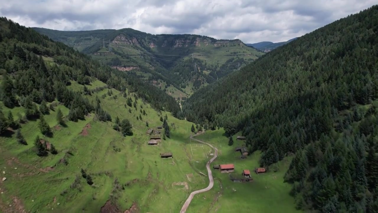 高山森林草场视频素材画面3