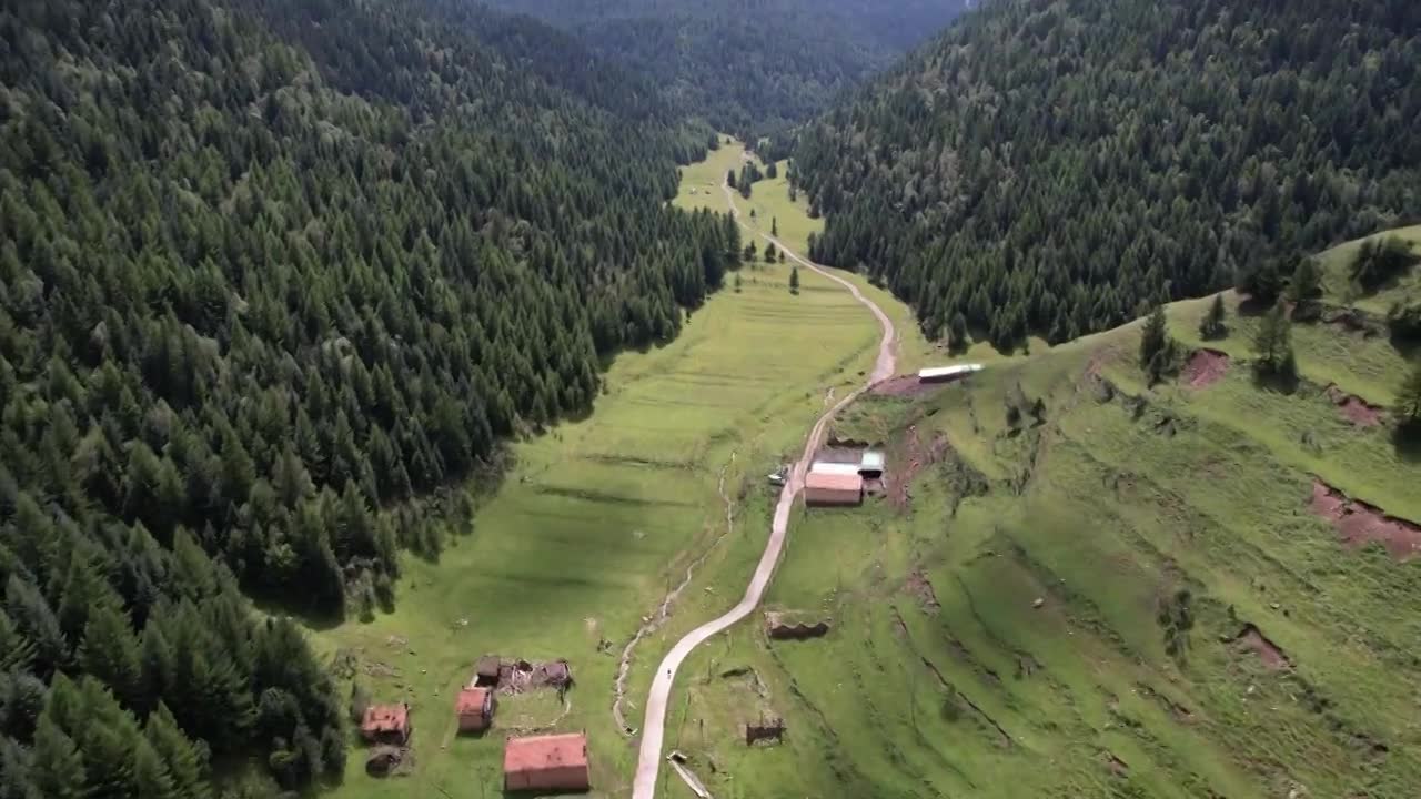 高山森林草场视频素材画面1