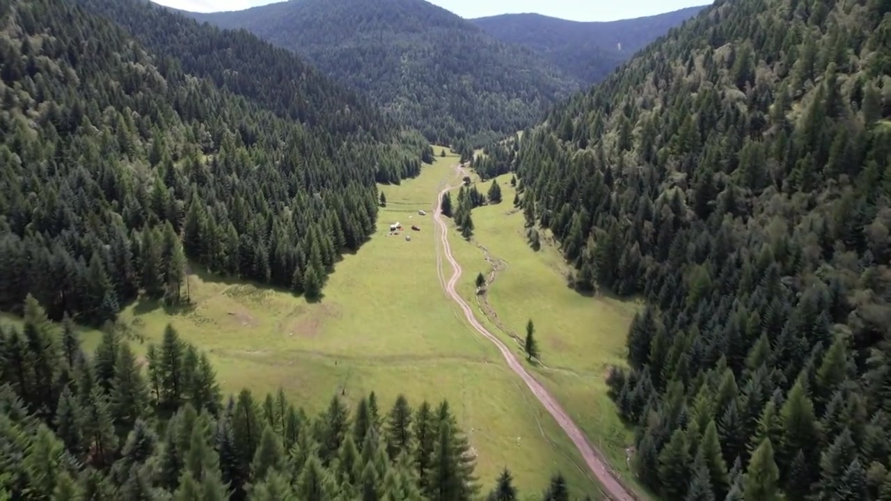 高山森林草场视频素材画面3