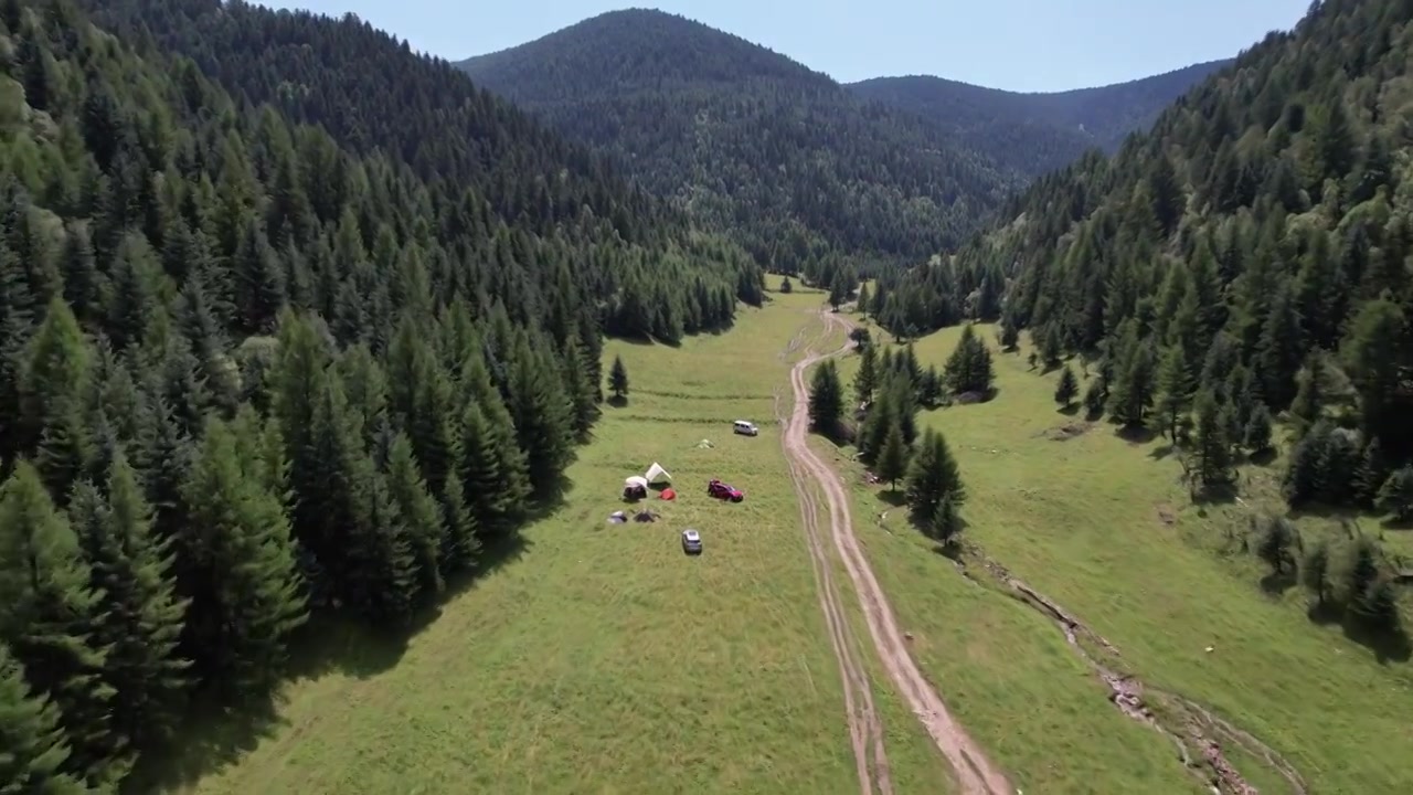 高山森林草场视频素材画面4