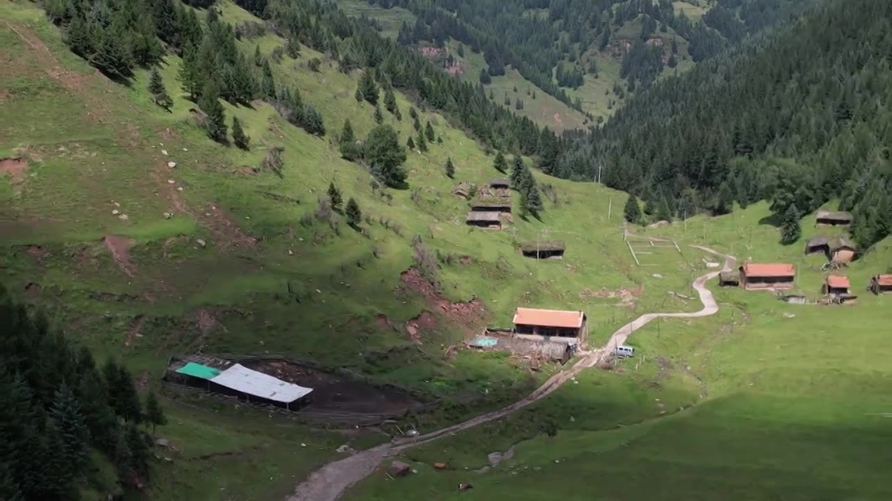 高山森林草场视频素材画面1