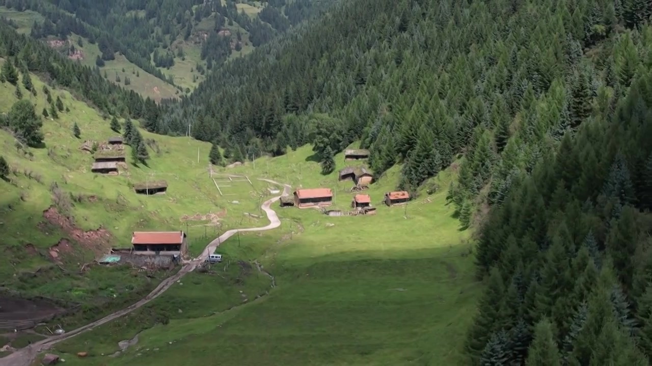 高山森林草场视频素材画面3