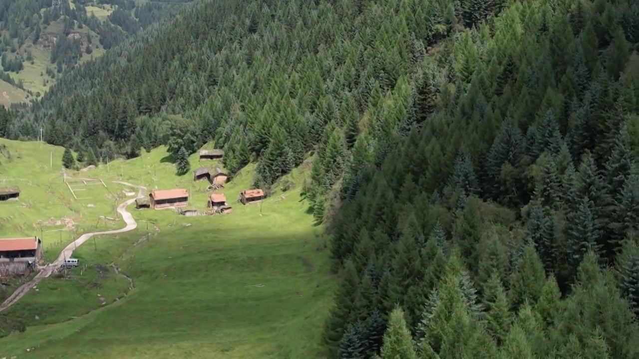 高山森林草场视频素材画面4