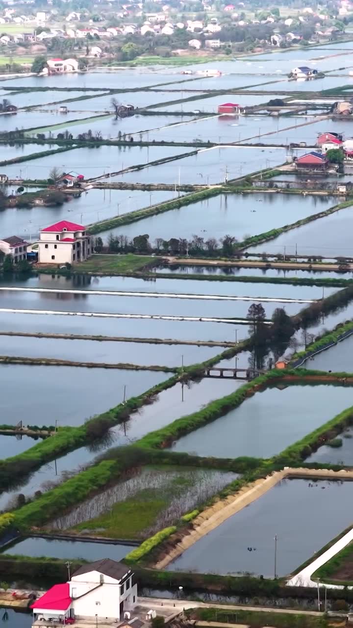 航拍湖南益阳来仪湖国家湿地公园及田野视频素材画面1