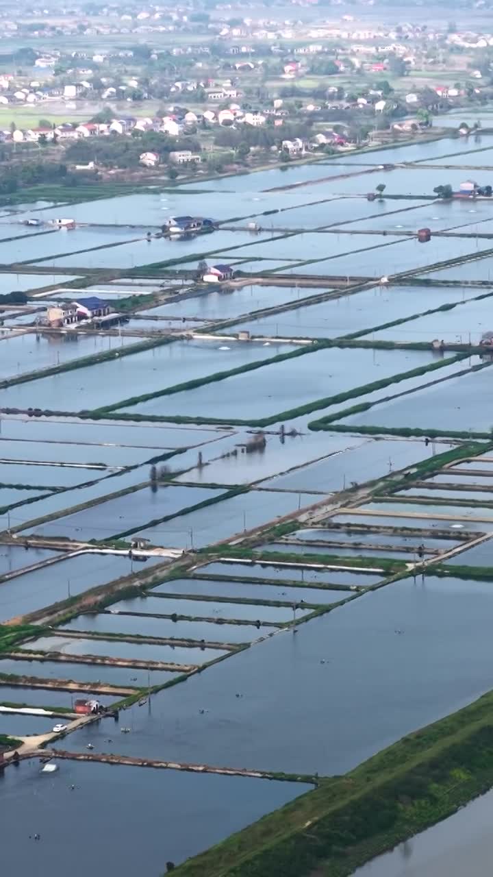 航拍湖南益阳来仪湖国家湿地公园及田野视频素材画面1