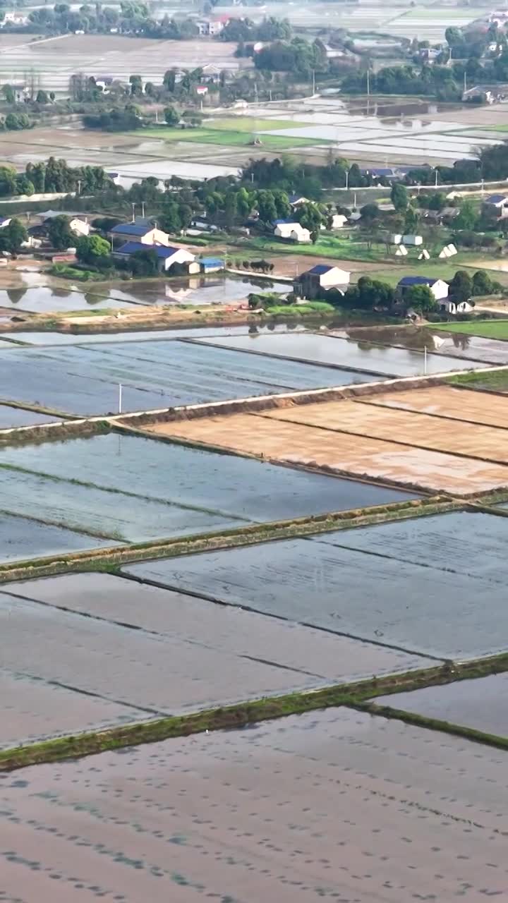 航拍湖南益阳来仪湖国家湿地公园及田野视频素材画面1