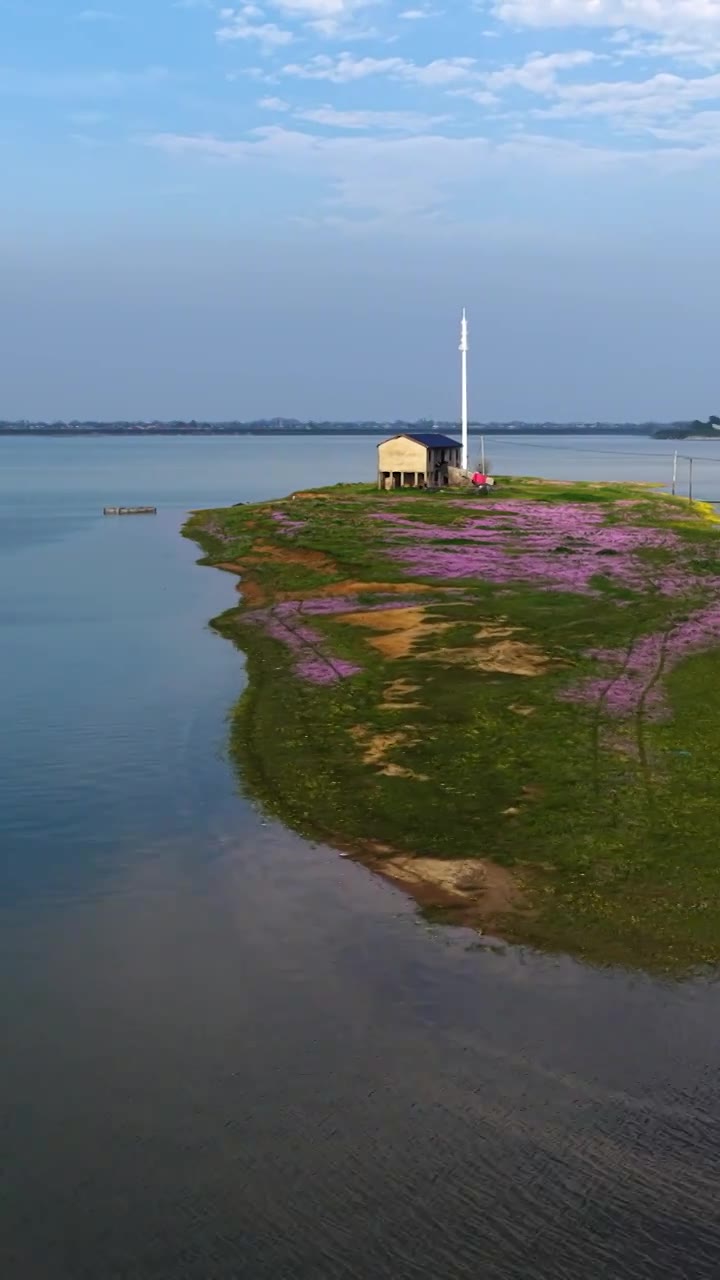 航拍湖南益阳来仪湖国家湿地公园及田野视频素材画面1
