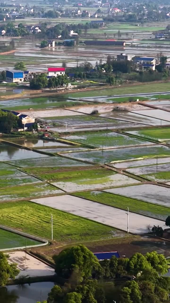 航拍湖南益阳来仪湖国家湿地公园及田野视频素材画面1