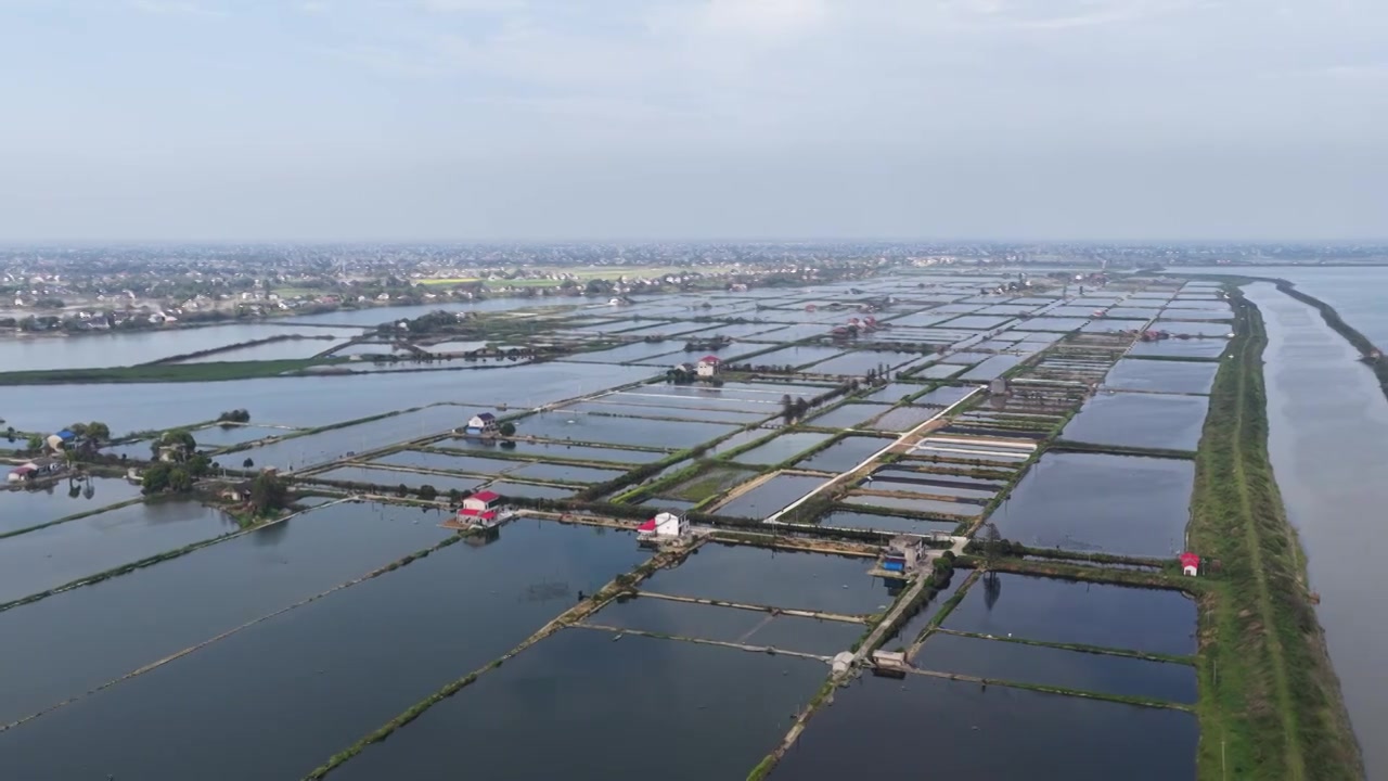 航拍湖南益阳来仪湖国家湿地公园及田野视频素材画面4