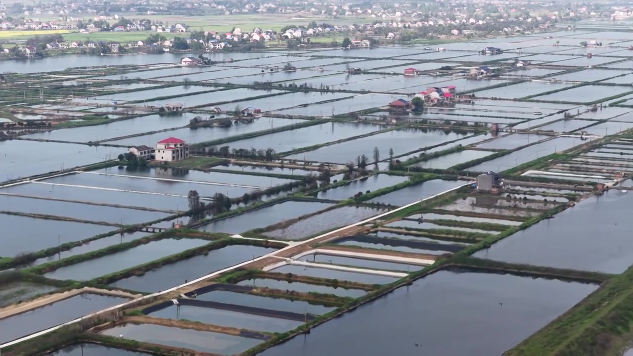 航拍湖南益阳来仪湖国家湿地公园及田野视频素材画面3