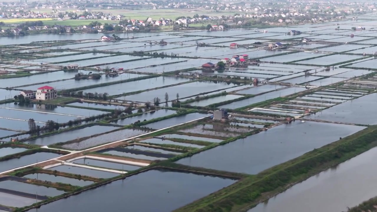 航拍湖南益阳来仪湖国家湿地公园及田野视频素材画面4
