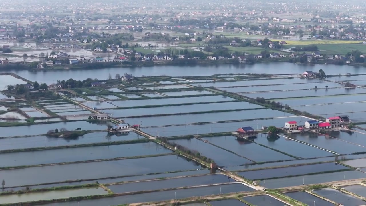航拍湖南益阳来仪湖国家湿地公园及田野视频素材画面4