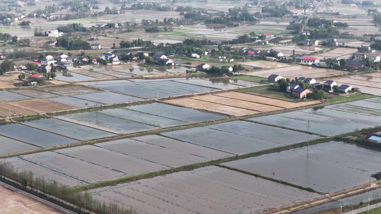 航拍湖南益阳来仪湖国家湿地公园及田野视频素材画面1