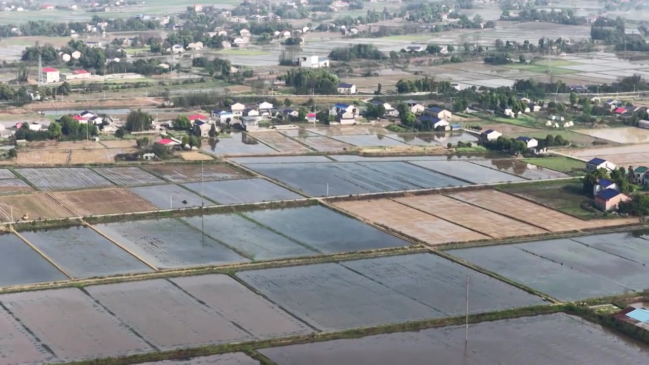 航拍湖南益阳来仪湖国家湿地公园及田野视频素材画面4