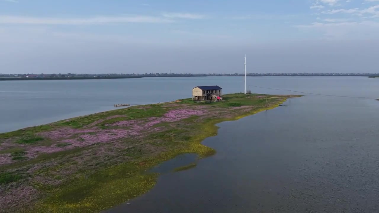 航拍湖南益阳来仪湖国家湿地公园及田野视频素材画面4