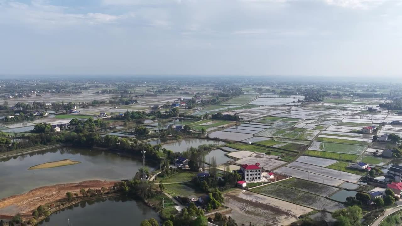 航拍湖南益阳来仪湖国家湿地公园及田野视频素材画面1