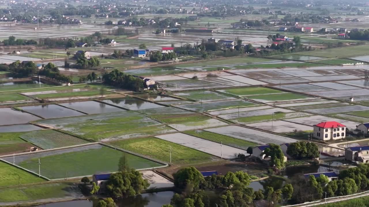航拍湖南益阳来仪湖国家湿地公园及田野视频素材画面1