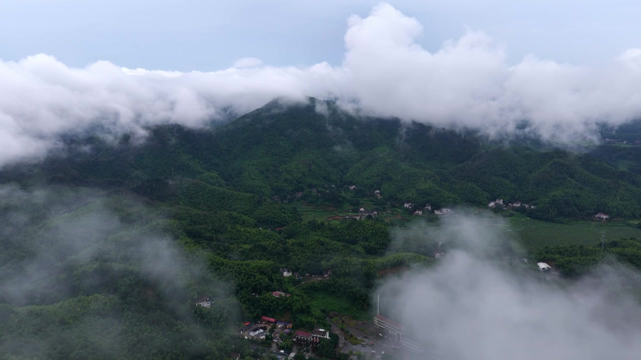 湖南桃江 桃花江竹海（摄影 熊朝阳）视频素材画面4
