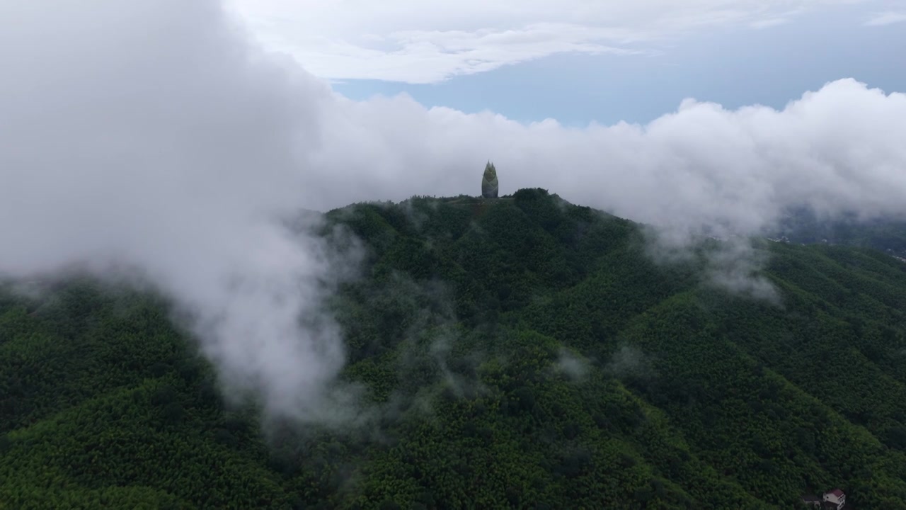 湖南桃江 桃花江竹海（摄影 熊朝阳）视频素材画面1