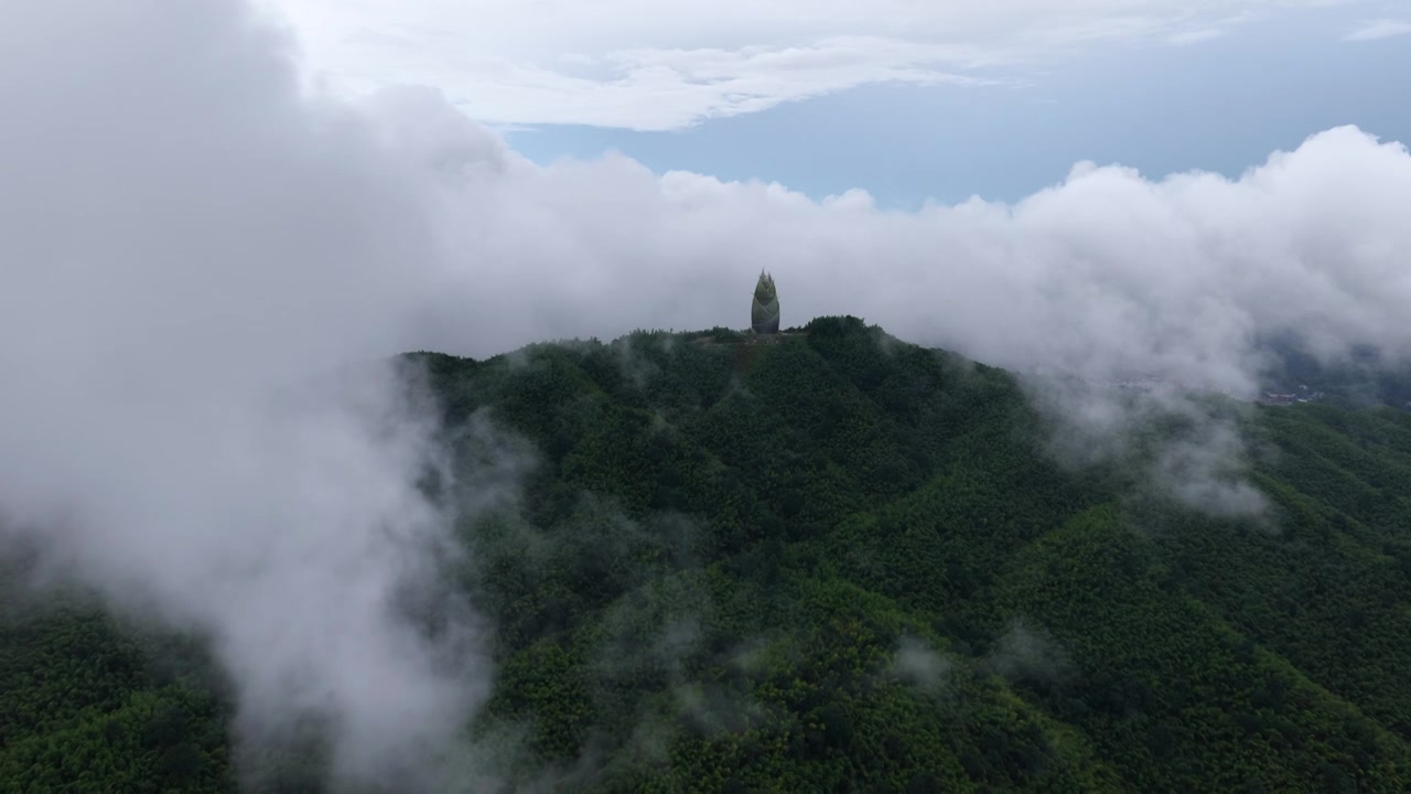 湖南桃江 桃花江竹海（摄影 熊朝阳）视频素材画面3