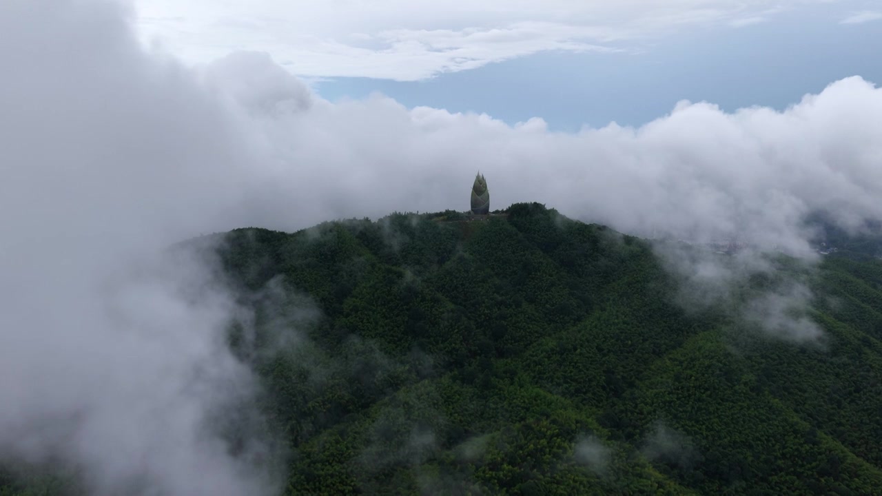湖南桃江 桃花江竹海（摄影 熊朝阳）视频素材画面4