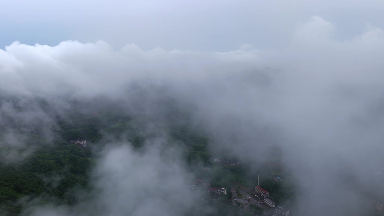 湖南桃江 桃花江竹海（摄影 熊朝阳）视频素材画面1