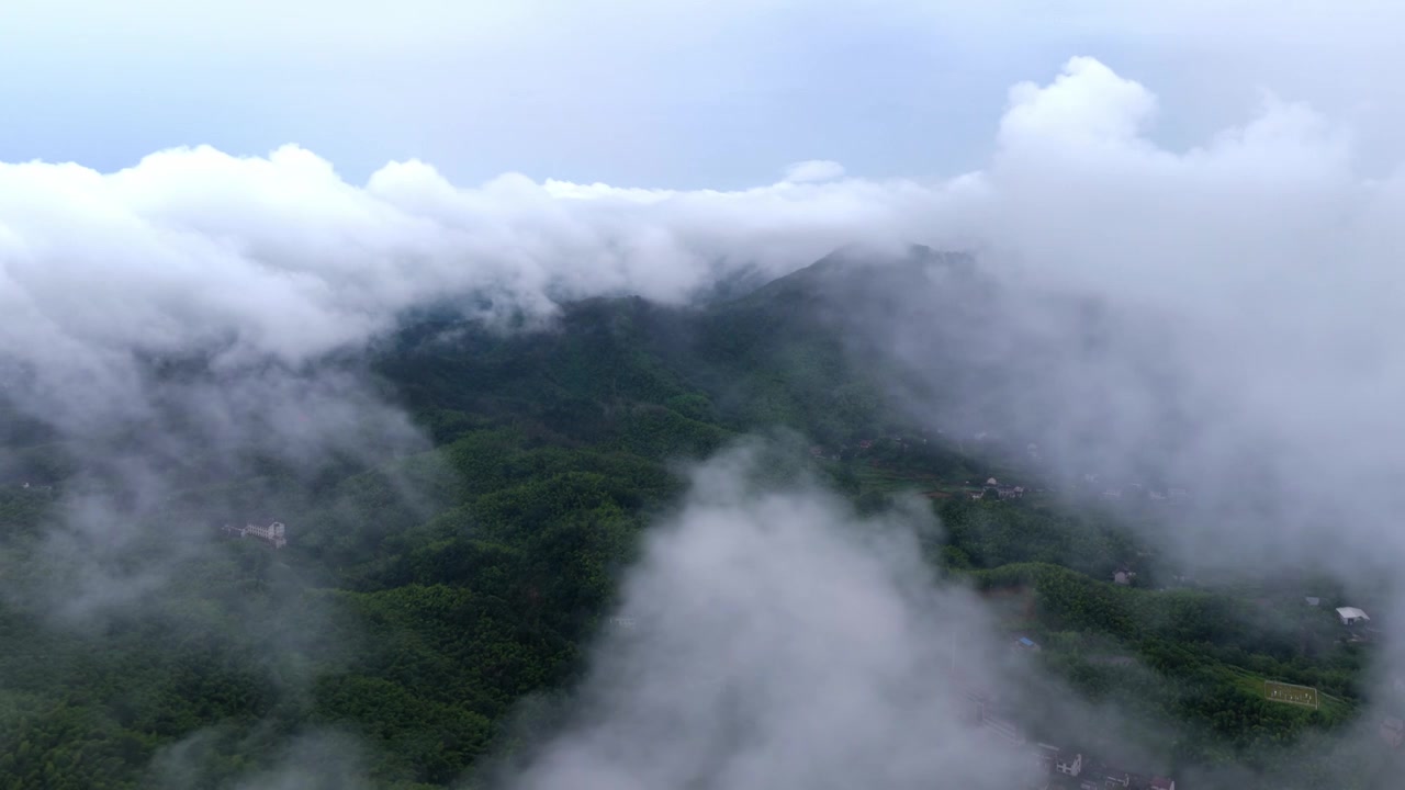 湖南桃江 桃花江竹海（摄影 熊朝阳）视频素材画面3