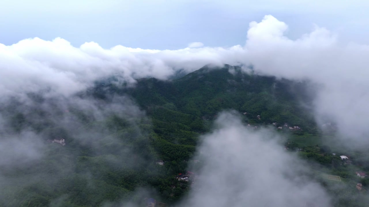 湖南桃江 桃花江竹海（摄影 熊朝阳）视频素材画面4