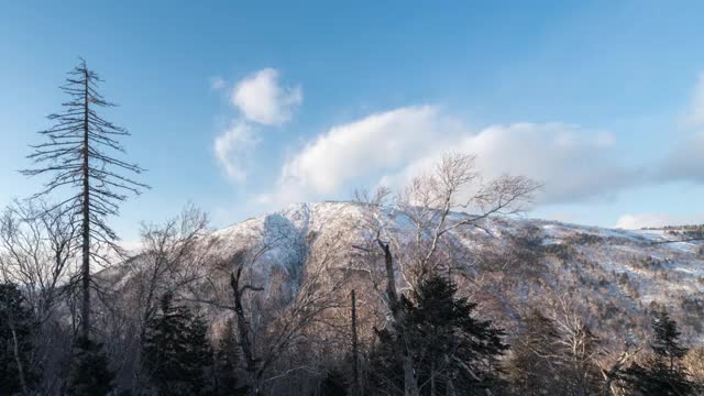 哈尔滨大秃顶子山视频下载