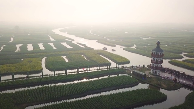 航拍油菜花视频素材