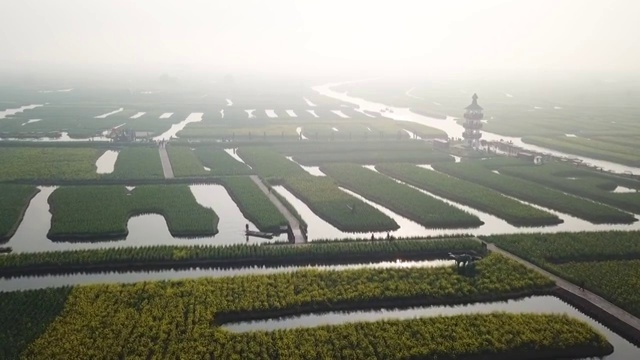 航拍摄影兴化千垛油菜花 河流 船 塔视频素材