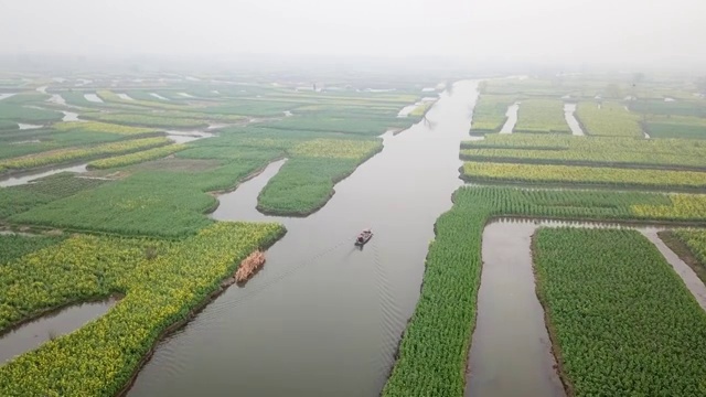 航拍油菜花视频素材