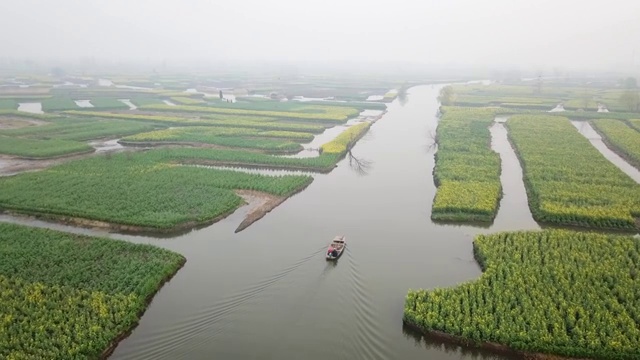 航拍油菜花视频素材