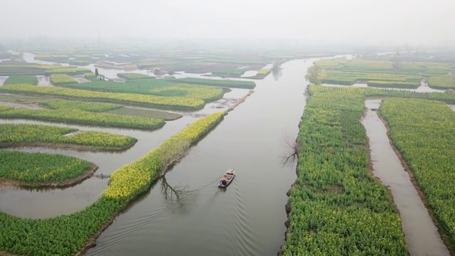 航拍摄影兴化千垛油菜花 河流 船 塔视频素材