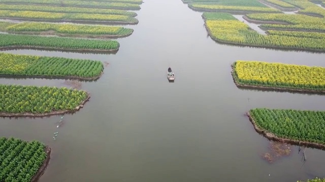 航拍摄影兴化千垛油菜花 河流 船 塔视频素材