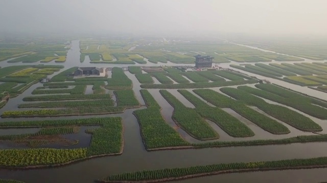 航拍油菜花视频素材