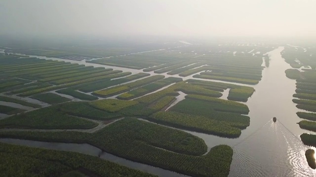 航拍摄影兴化千垛油菜花 河流 船 塔视频素材