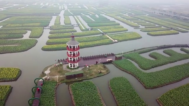 航拍摄影兴化千垛油菜花 河流 船 塔视频素材