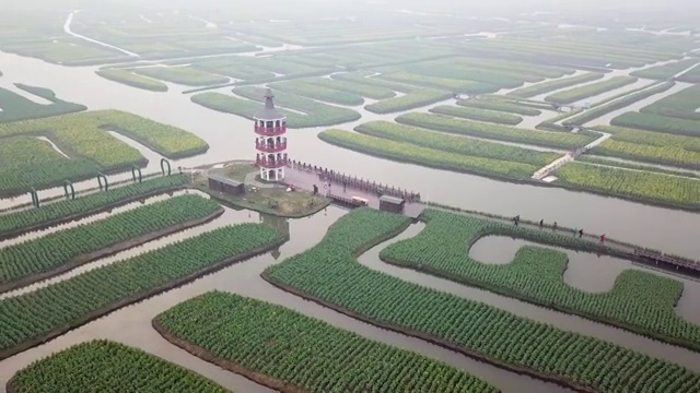 航拍油菜花视频素材