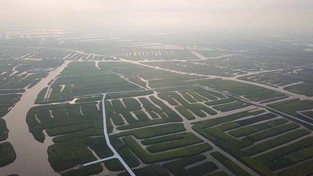 航拍摄影兴化千垛油菜花 河流 船 塔视频素材